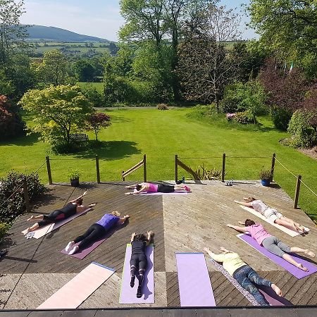 Creacon Wellness Retreat Hotell New Ross Exteriör bild