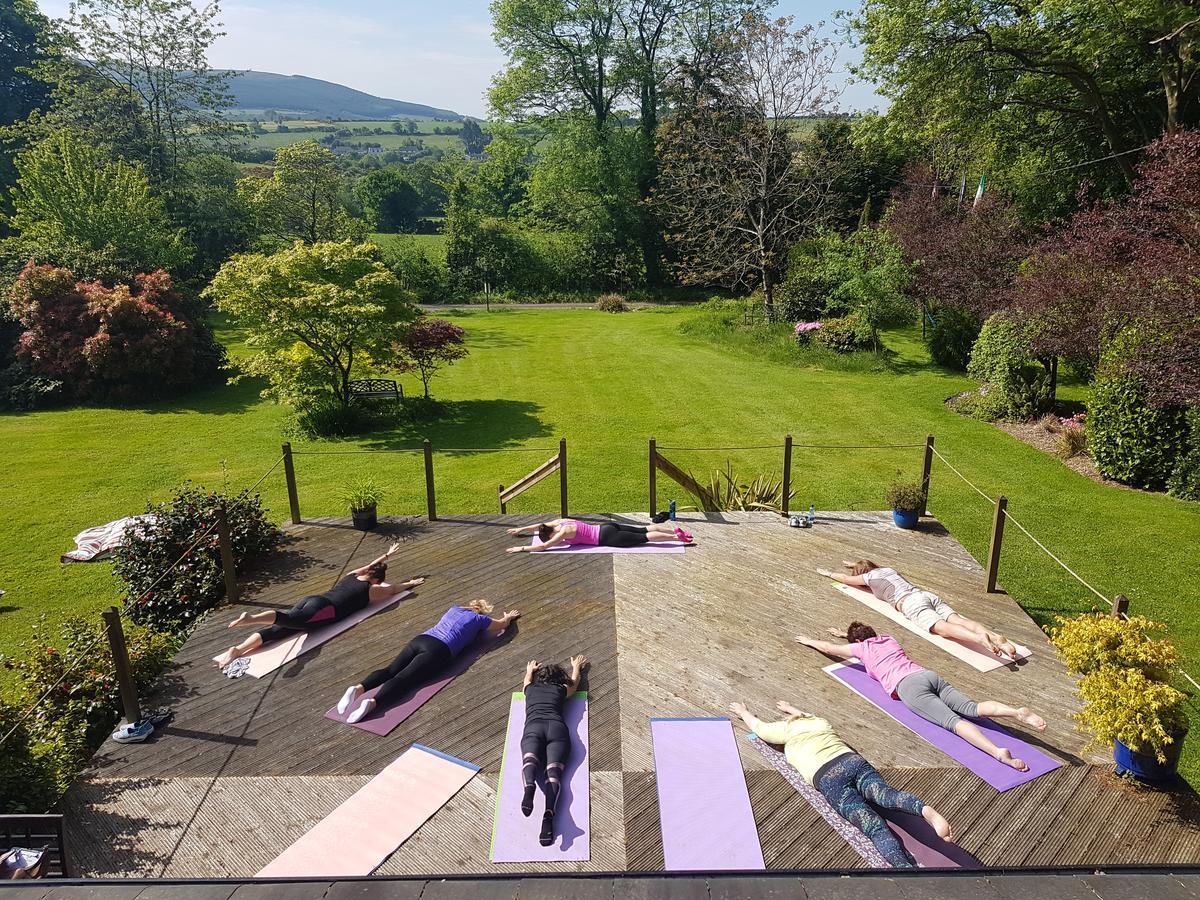 Creacon Wellness Retreat Hotell New Ross Exteriör bild