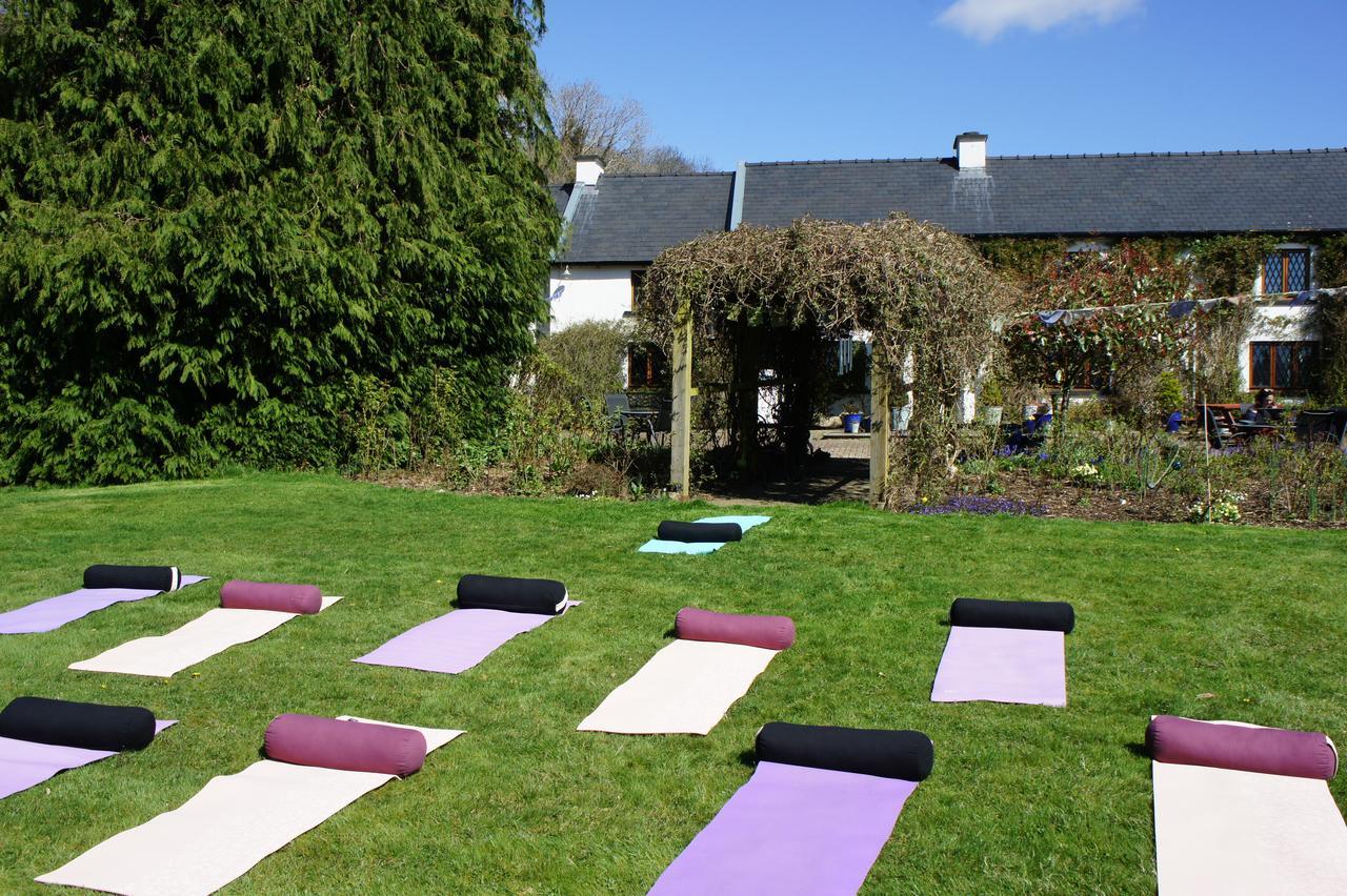 Creacon Wellness Retreat Hotell New Ross Exteriör bild